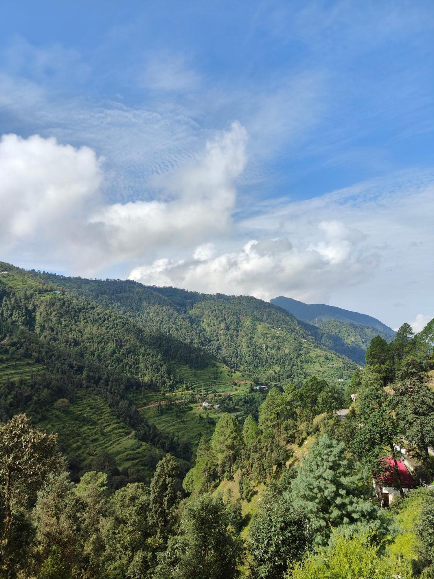 Himwanderer Camps & Cottages Pangot Nainital Bagian luar foto