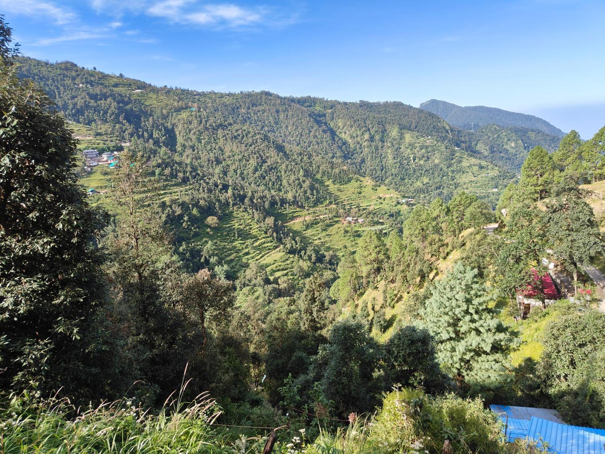 Himwanderer Camps & Cottages Pangot Nainital Bagian luar foto