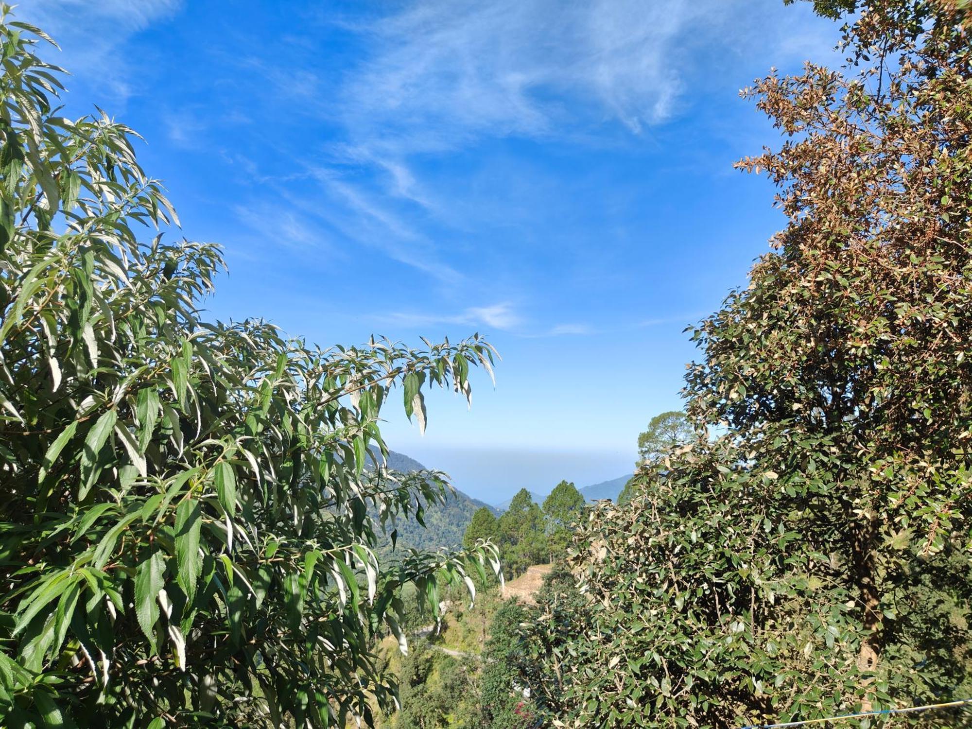 Himwanderer Camps & Cottages Pangot Nainital Bagian luar foto