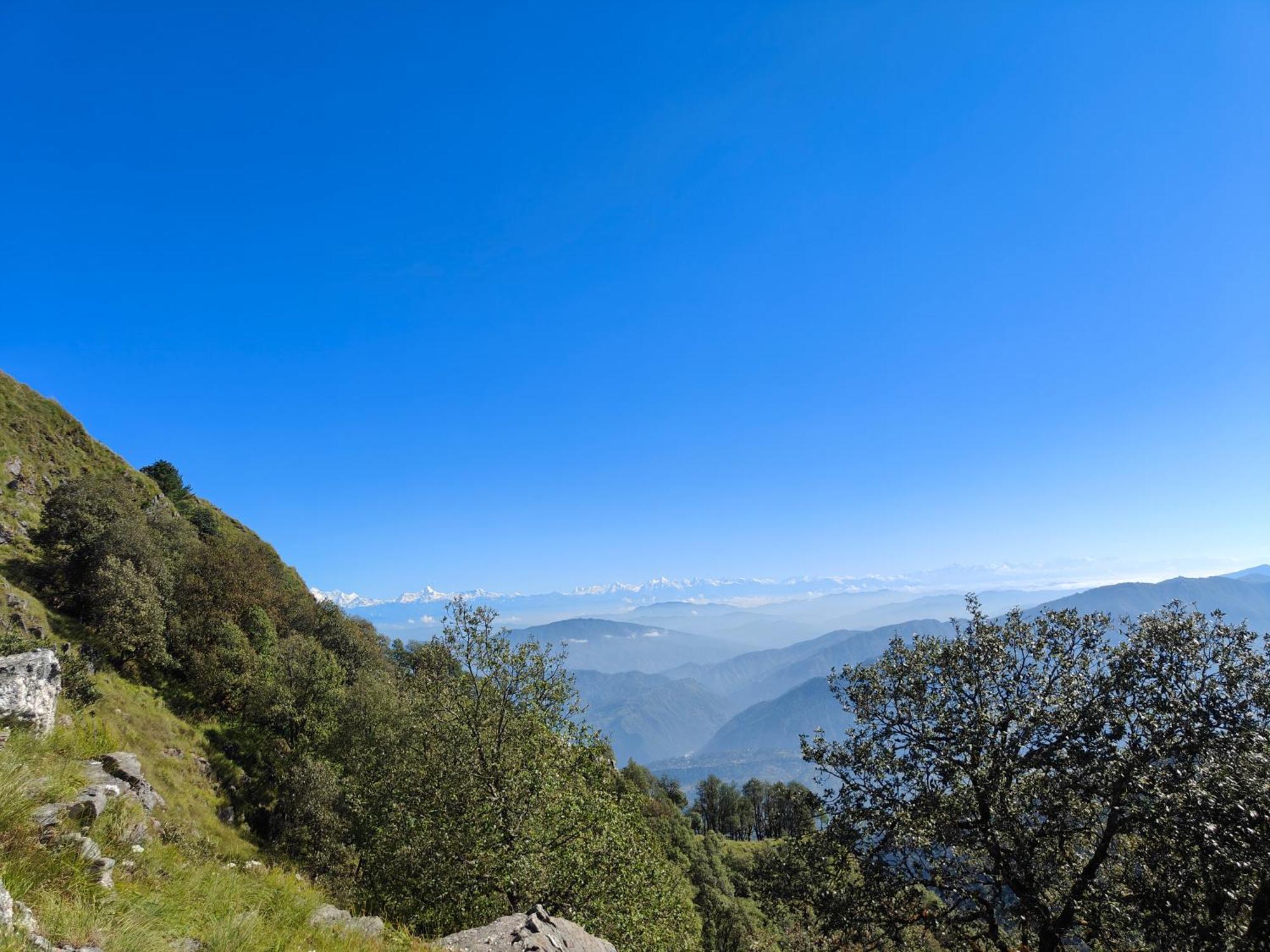 Himwanderer Camps & Cottages Pangot Nainital Bagian luar foto