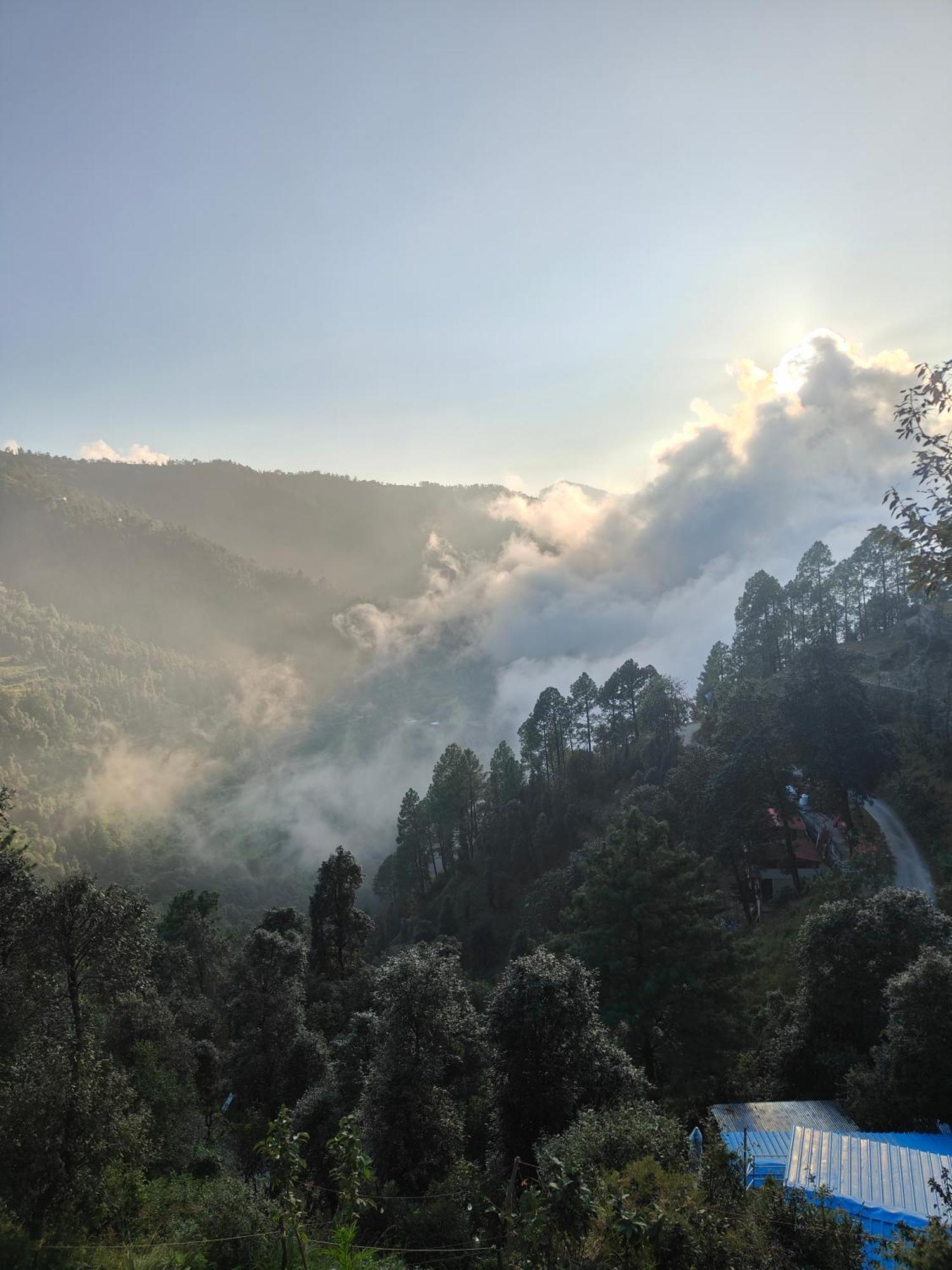 Himwanderer Camps & Cottages Pangot Nainital Bagian luar foto