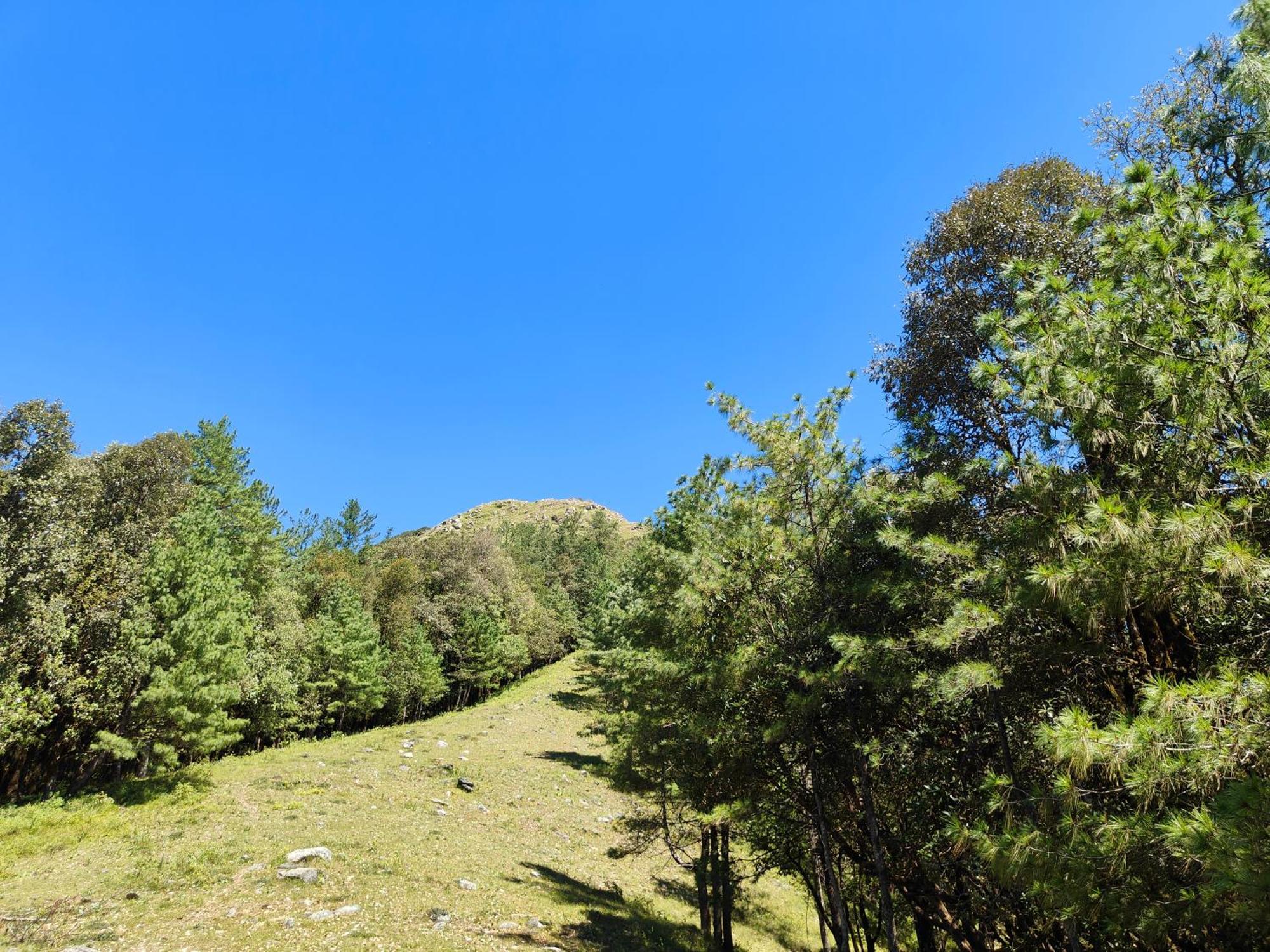 Himwanderer Camps & Cottages Pangot Nainital Bagian luar foto